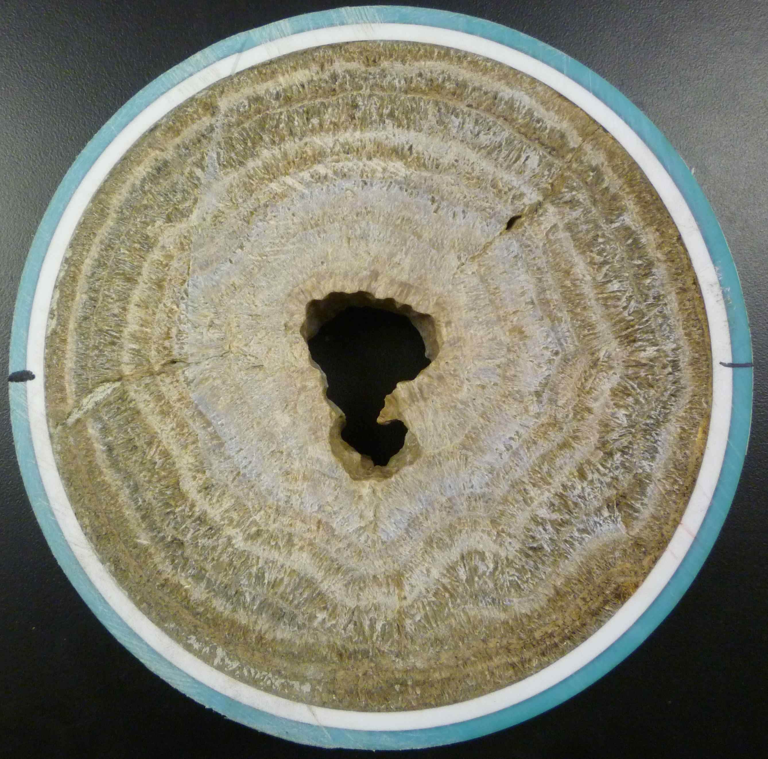 Struvite - Alchetron, The Free Social Encyclopedia